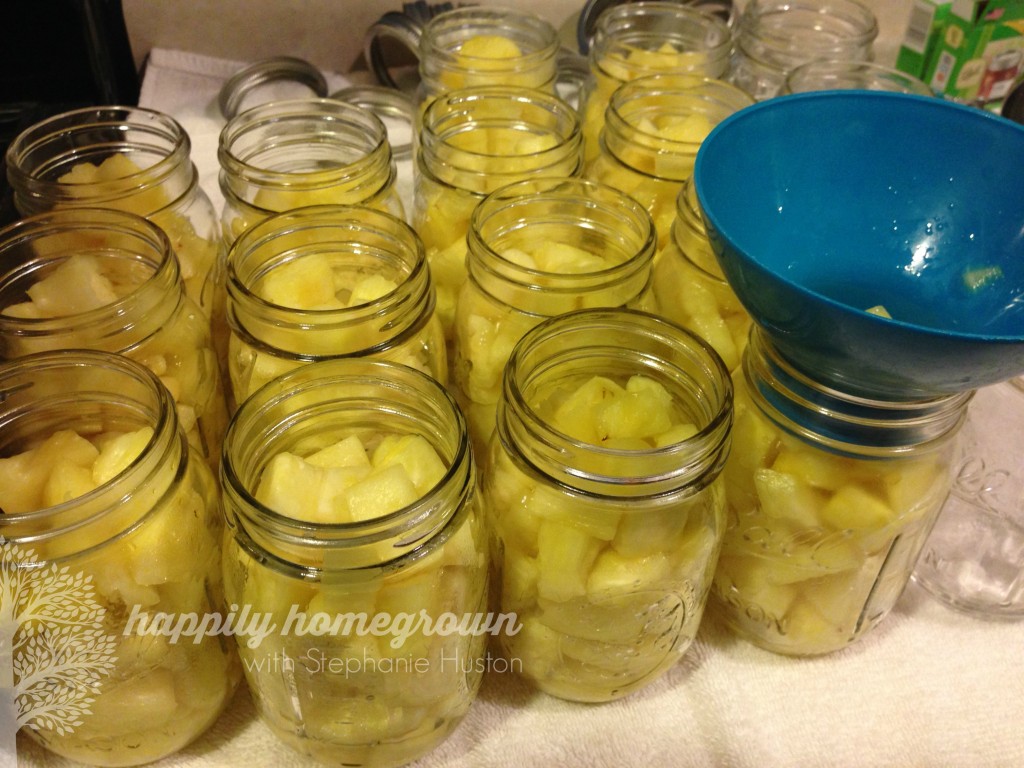 home canned pineapple 2