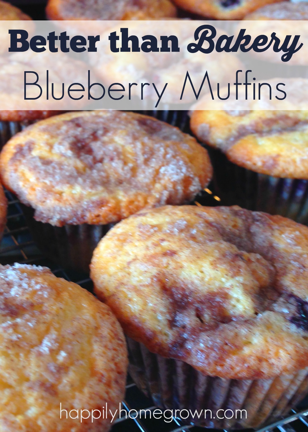 better than bakery blueberry muffins 2