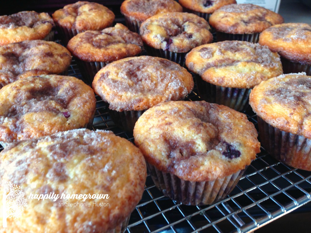 better than bakery blueberry muffins