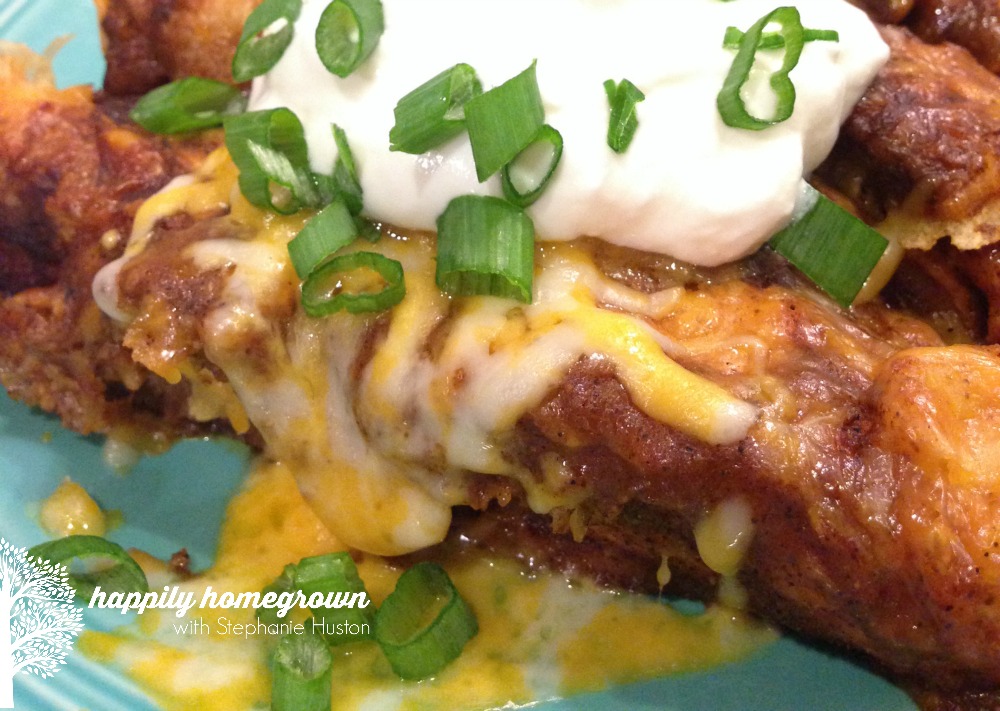 chicken & cheese enchiladas close up