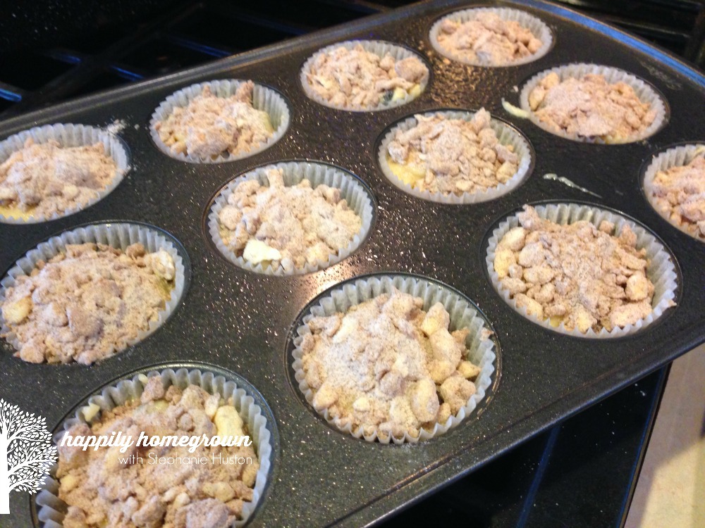 pre-baked blueberry muffins