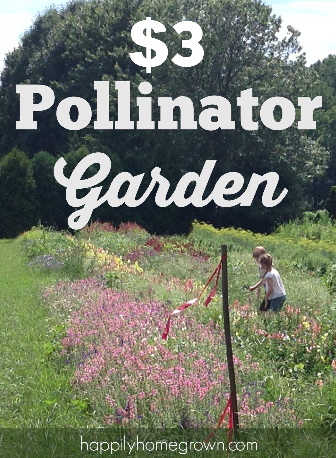 $3 Pollinator Garden