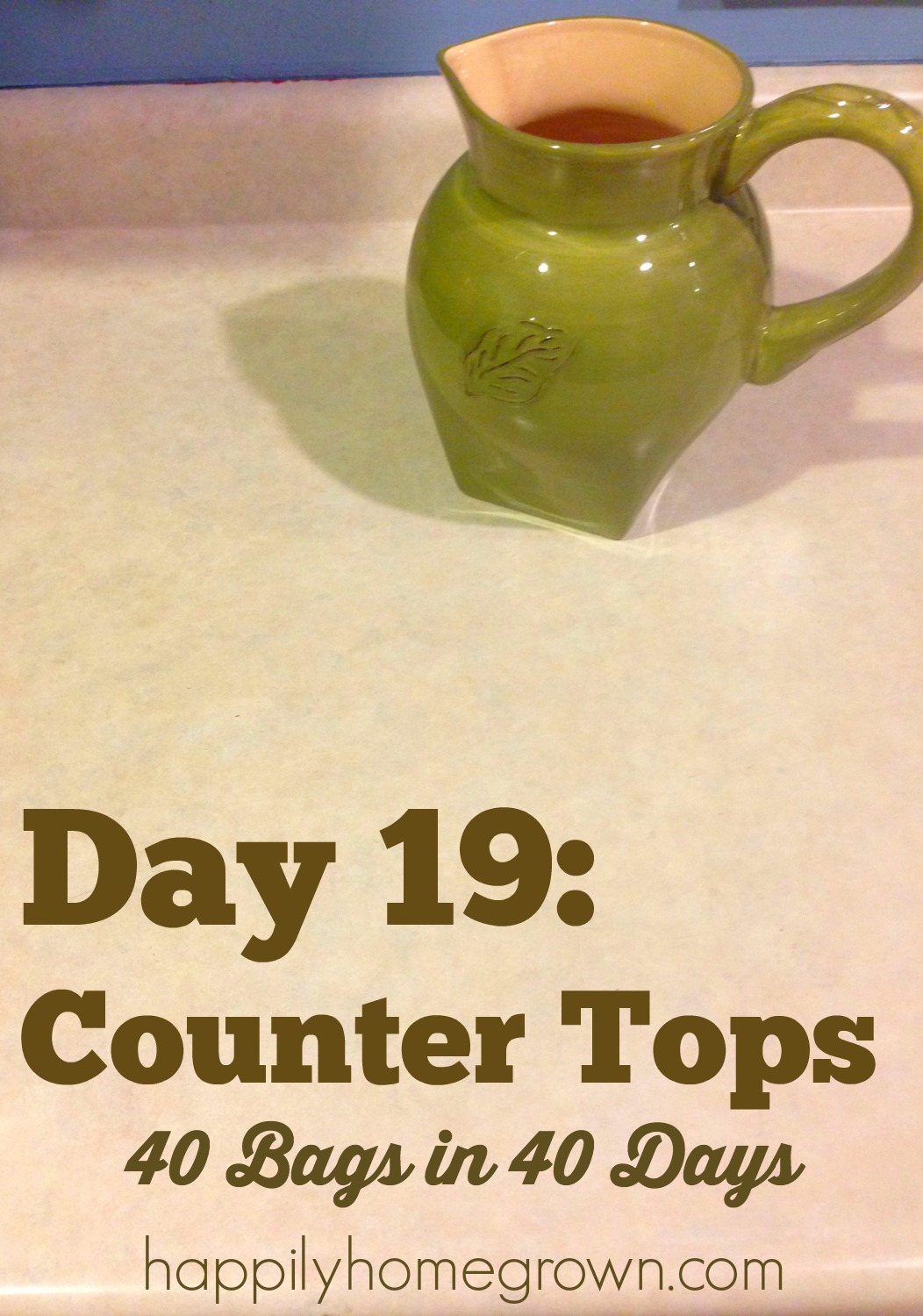 Day 19 counter tops