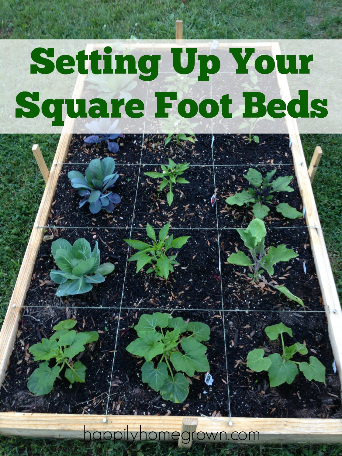 Setting Up Your Square Foot Beds - The whole idea behind Square Foot Gardening (SFG) is to grow more in less space. This saves you time, money, and resources while producing an abundance of produce!