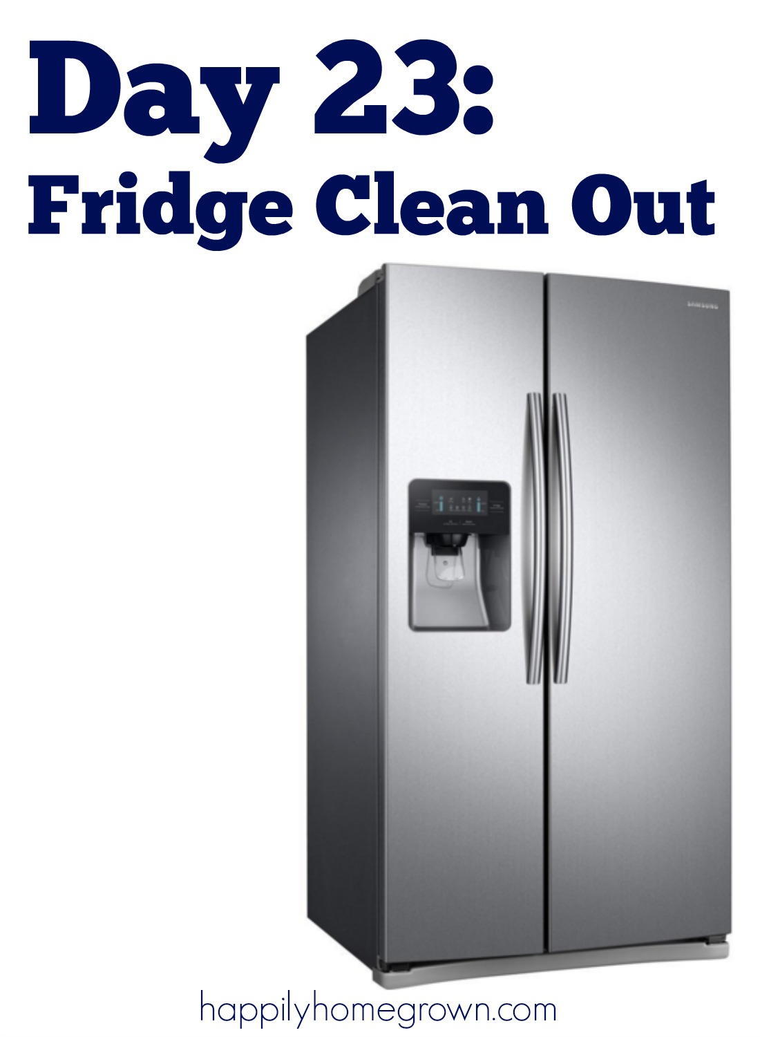 Fridge clean out is the chore we all know that we need to do, but none of us want to do. Here are a few tips to make it easier.