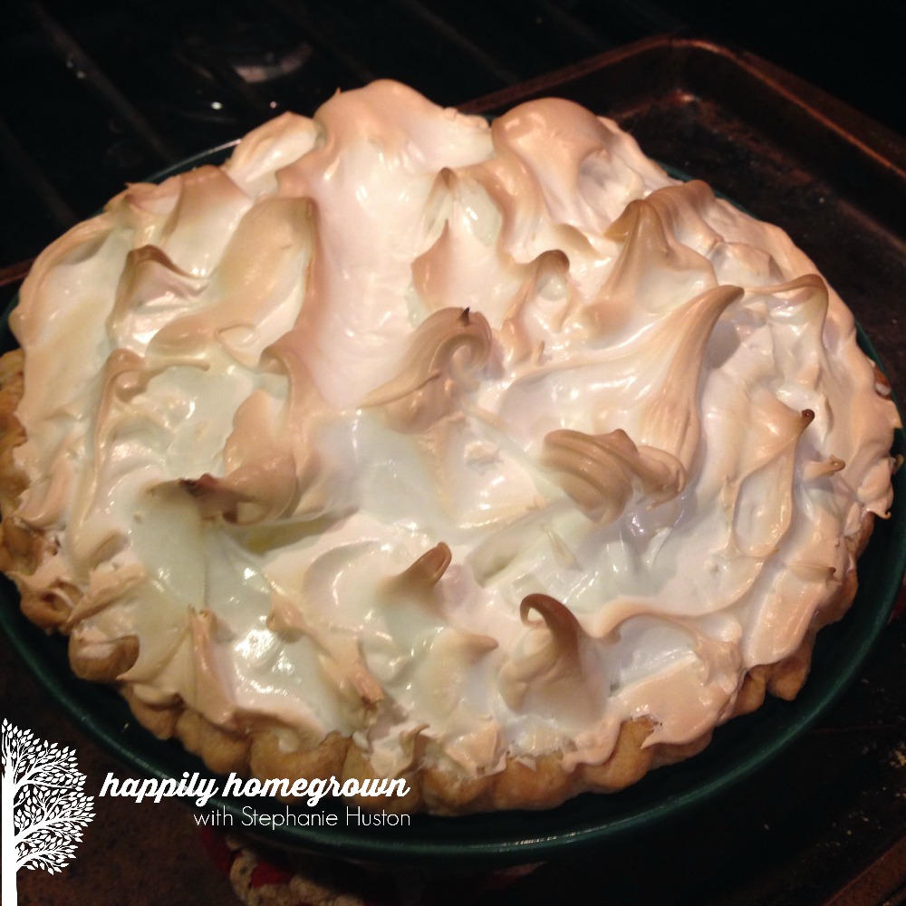 One of my favorite spring flavors is lemon, and nothing says spring better than my grandma's lemon meringue pie. I know you'll love the ease of this recipe!