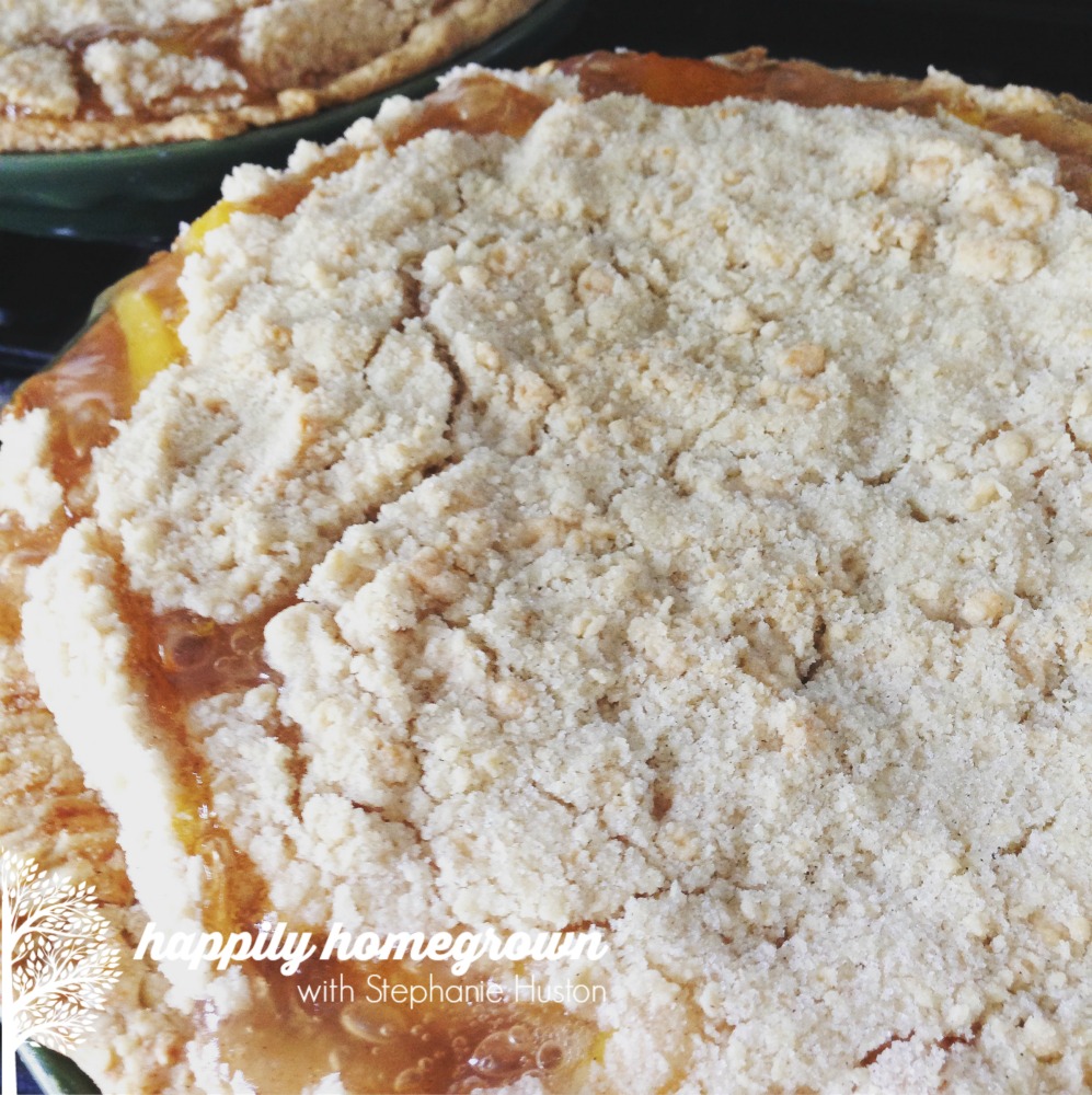 Here in eastern PA it is peach season! That means its time to capture summer in a jar with our homemade peach pie filling, and what better way to enjoy that than in a peach crumb pie.