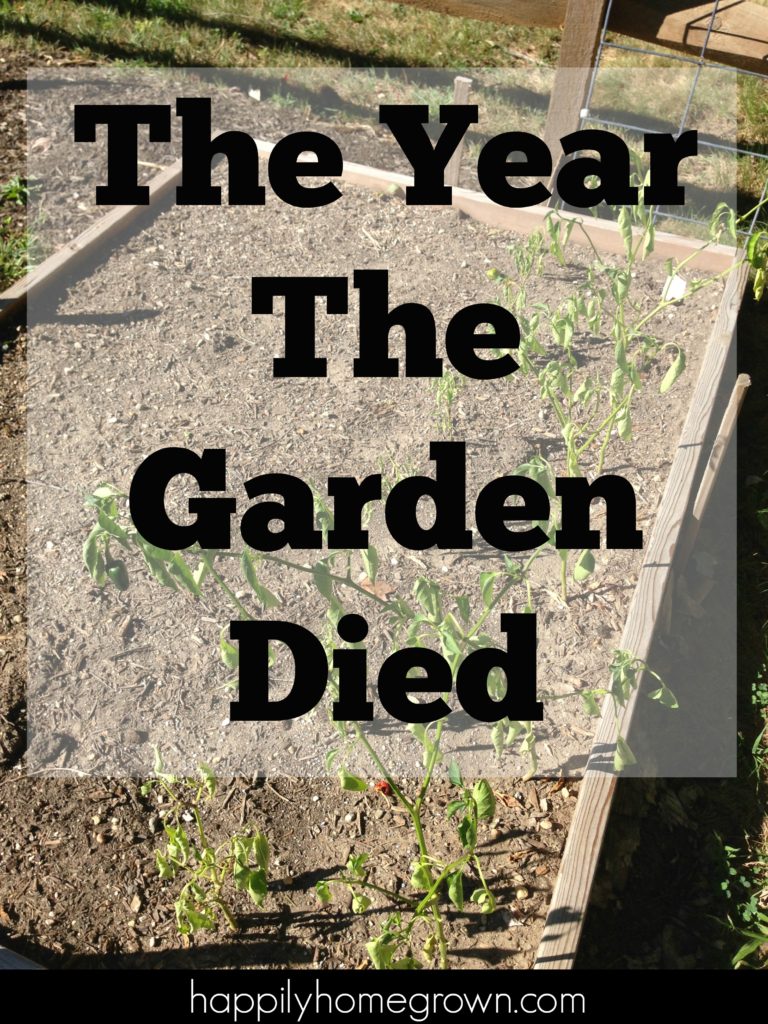 The year the garden died we had many consecutive days over 90, drought, family travel, and ultimately indifference. It was the perfect storm that resulted in our worst season ever.