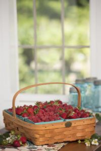 berry-harvest-basket