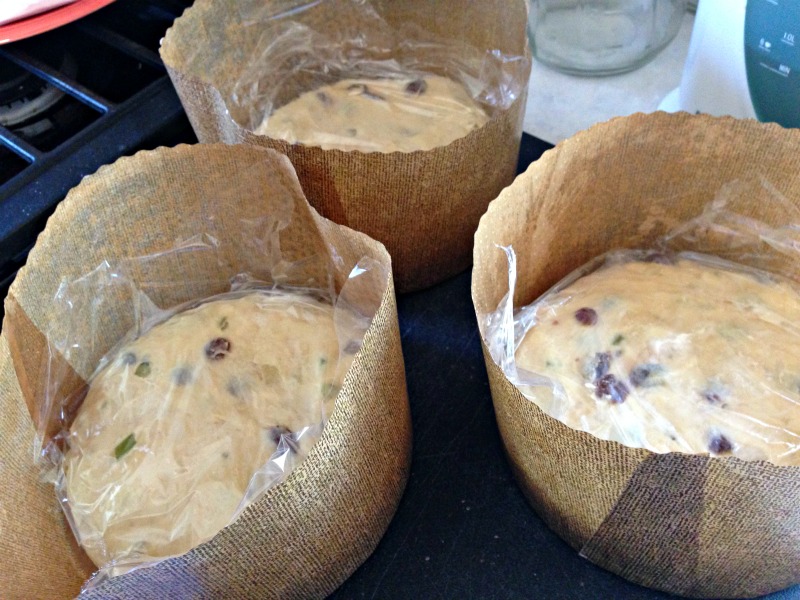 I’ve been wanting to make homemade panettone for years, but was always intimidated by stories that this slightly sweet, eggy, Italian raisin bread took days to make. Who has time for that? So I stuck with mediocre store bought varieties. That was until this year.