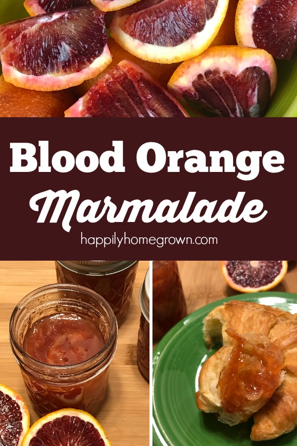 Have you ever tried a recipe just because it pushes you out of your culinary comfort zone? I plan on doing a lot of that this year, starting with marmalade. Blood Orange Marmalade is a delicious sweet tart fruit spread, that you are sure to enjoy on its own or in savory recipes.