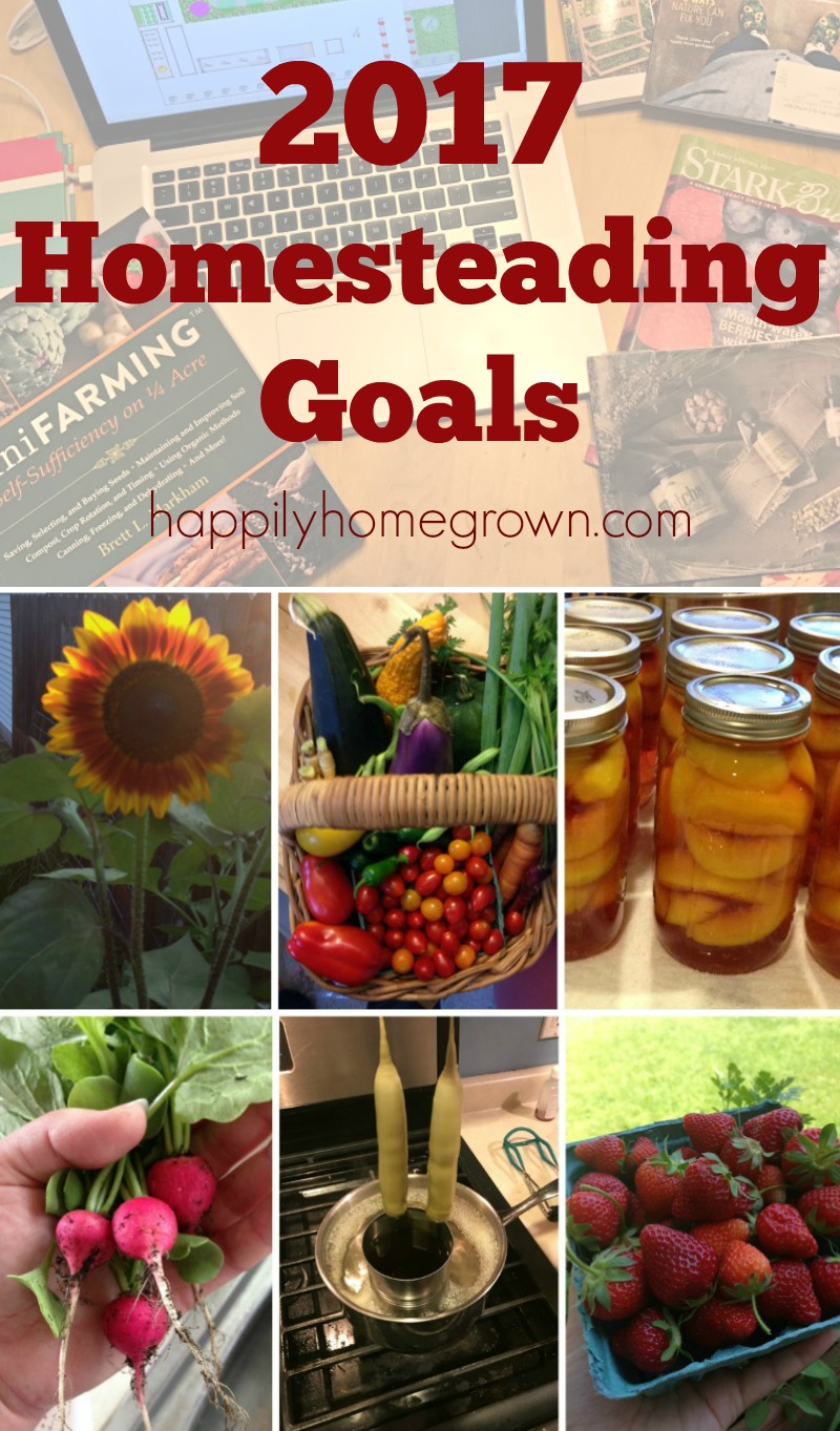 Homesteading Goals for 2017. Through gardening, food preservation, and a lot of DIY we are teaching our children to be self-reliant and we are working together as a family to have the things we need.