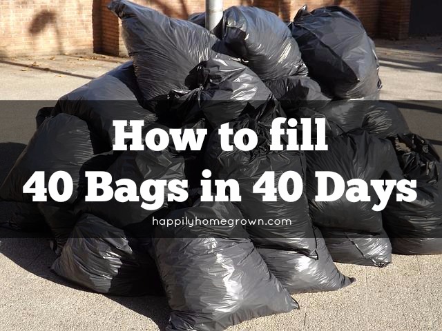 Trying to declutter & clean your home is like trying to eat an elephant. You have to do it bite by bite, nibble by nibble. Welcome to the 40 Bags in 40 Days Challenge.
