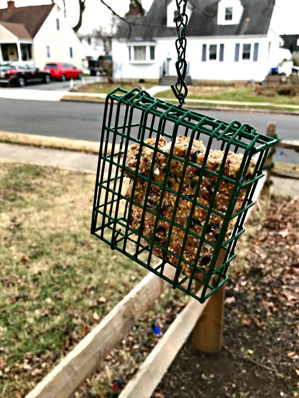 Learn how to make these quick and easy homemade birdseed cakes and keep your feathered friends visiting the yard all season long! 