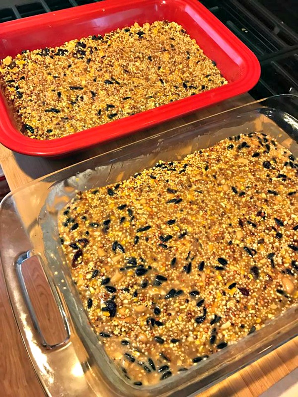 Learn how to make these quick and easy homemade birdseed cakes and keep your feathered friends visiting the yard all season long! 