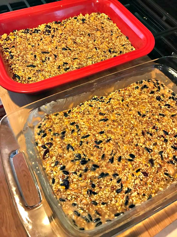 recipe for birdseed cakes