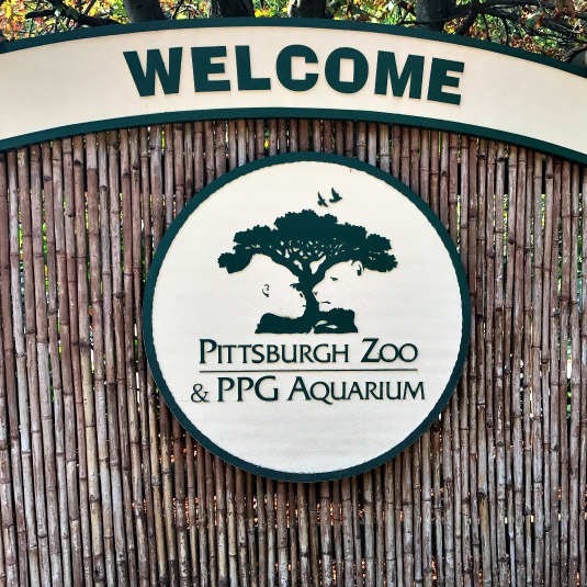 Join us as we take our homeschool on the road to the Pittsburgh Zoo & PPG Aquarium for a beautiful family day at the zoo.