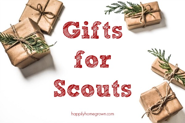 While holiday gifts always include toys & clothes, in our house they also have scout related gifts. Here are 5 gifts perfect for the scouts in your family.  