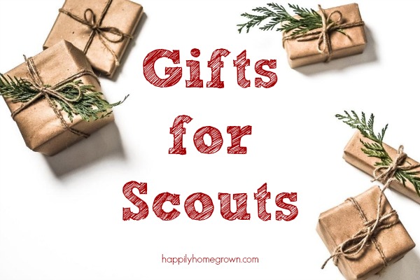 good gifts for cub scouts