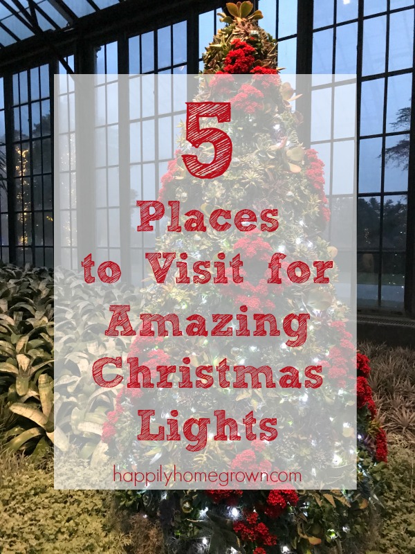 My favorite family tradition is traveling around the region to check out the Christmas lights. Here are 5 Places to Visit for Amazing Christmas Lights.