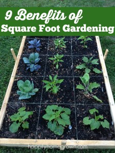 The goal with Square Foot Gardening and container gardening is to work smarter, not harder. Here are 9 of the benefits to Square Foot Gardening.