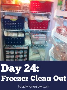 With a little time before you put things into the freezer, and some time cleaning out what you already have, you will have a perfectly decluttered freezer in no time!