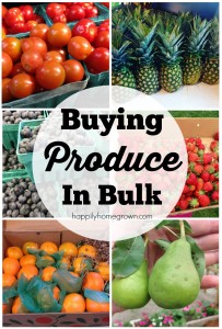Here are my tips for buying produce in bulk - including stock up prices, my favorite local farms, and the best time of year to get your favorites.