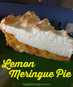 One of my favorite spring flavors is lemon, and nothing says spring better than my grandma's lemon meringue pie. I know you'll love the ease of this recipe!
