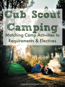 Camping and outdoor skills are an integral part of the Cub Scout, and later the Boy Scout, experience.  You can not advance through the ranks without spending time outdoors.  Cub Scout camping is at the pack level, which means scouts in kindergarten through fifth grade, and their families are attending these outings.
