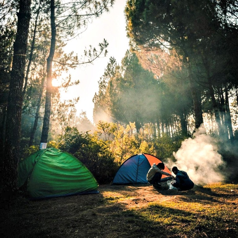 Camping cubs store