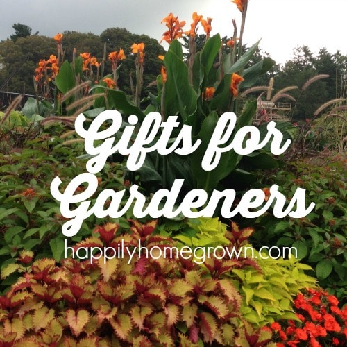 Whether you are shopping for Christmas or any other celebration, these gifts for gardeners are sure to be a hit!