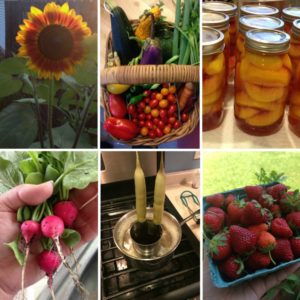 Homesteading Goals for 2017. Through gardening, food preservation, and a lot of DIY we are teaching our children to be self-reliant and we are working together as a family to have the things we need.
