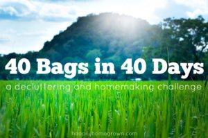The 40 Bags in 40 Days Challenge is a weekly link up for bloggers to share their posts on spring cleaning, organization, and decluttering. If you’re a blogger, we would love for you to participate! If you don’t blog, you can still check out the featured posts and new posts below.