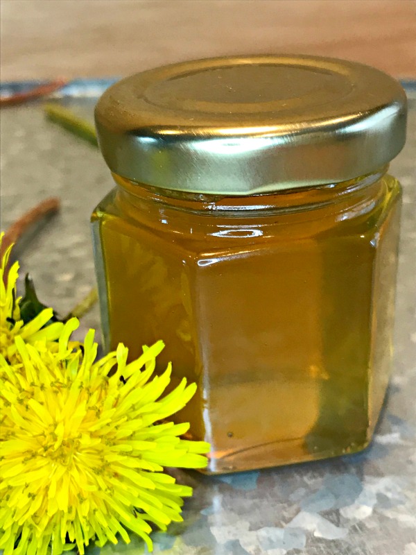 It only takes a little time, effort, and know how to change this humble weed into a golden, honey flavored jelly. Dandelion Jelly is now a family favorite!