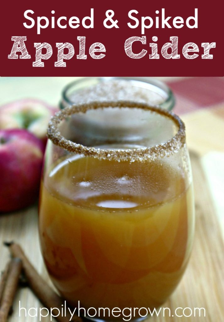 Spiced & spiked apple cider cocktail tastes like apple pie, with that little bit of extra heat in the back that you get from whiskey. Its the perfect fall cocktail!