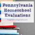 Pennsylvania state law requires that every homeschooler's progress is evaluated once per academic year (July 1-June 30) to ensure that progress has occurred in the homeschool program. Stephanie Huston can help you comply with state law by offering expert evaluations.