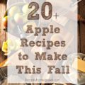 When I think fall flavors, I think apple and warm spices.  Move over pumpkin spice, apples are where it's at!  Check out these 20+ apple recipes to bring fall flavors to your kitchen.