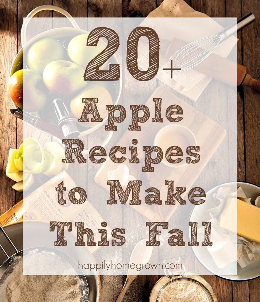 When I think fall flavors, I think apple and warm spices.  Move over pumpkin spice, apples are where it's at!  Check out these 20+ apple recipes to bring fall flavors to your kitchen.