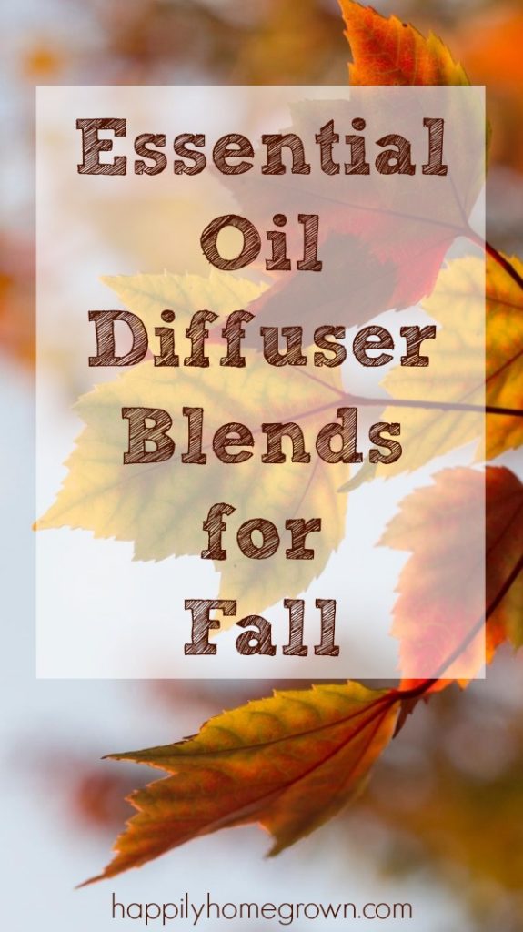 These essential oil blends are perfect for fall & making your home smell amazing. Try out a few, and discover your home's signature fall scent.