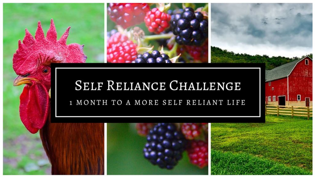 Make a resolution to be more self reliant in 2019! Being more self reliant helps save money and increase your confidence and skills. I’ve pledged to share my self reliance posts, tips, and plans with you in January 2019 as I challenge myself to learn new skills!