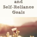 My overall goal is to be more self-reliant in 2019 than we were in 2018.  Self-Reliance means we will be able to do more for ourselves and save money in the process.