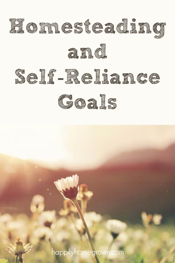 My overall goal is to be more self-reliant in 2019 than we were in 2018.  Self-Reliance means we will be able to do more for ourselves and save money in the process.