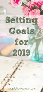 Setting goals for the new year is always a wonderful way to reflect after the holidays and set yourself up for success in the new year.  