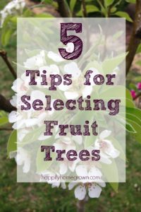 Selecting fruit trees can be a daunting task but it doesn't have to be. Here are five things to consider to make your choices easier.