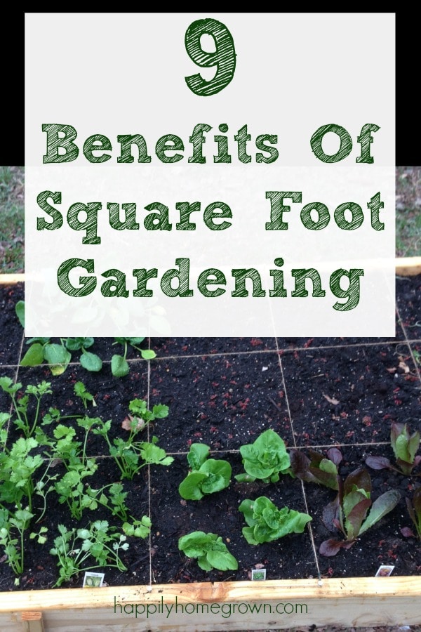 Square Foot Gardening is an opportunity to work smarter, not harder, in your raised bed gardens to have increased yield with less work and fewer resources.