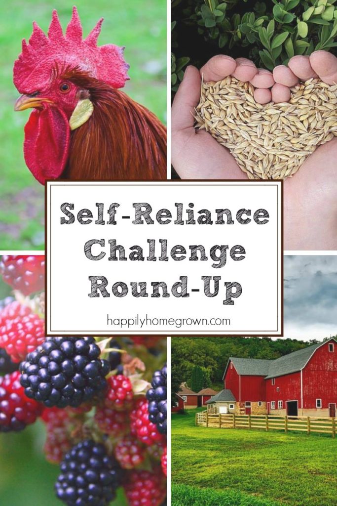 Being self-reliant helps save money & increase your confidence and skills. Here are the best posts from the challenge as a reference to our readers.