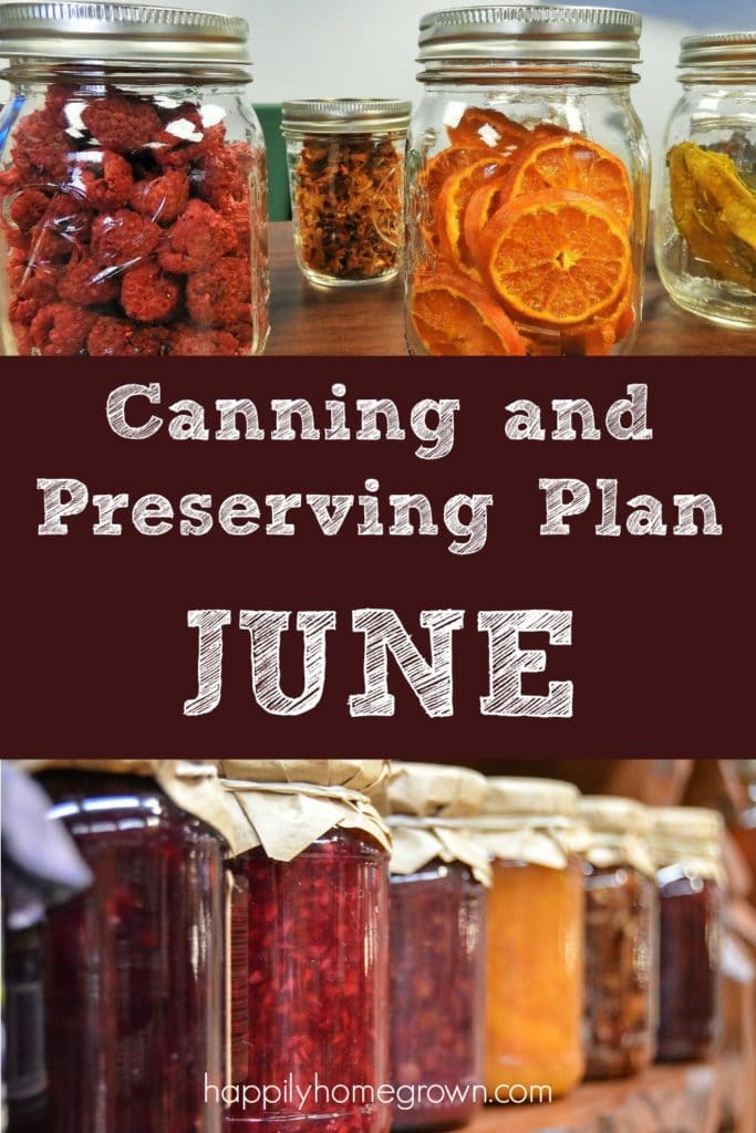 Whether your garden is in full swing, your CSA is keeping you busy, or you are frequenting your favorite farms, it is time to start thinking about preserving this season's harvest for the future.