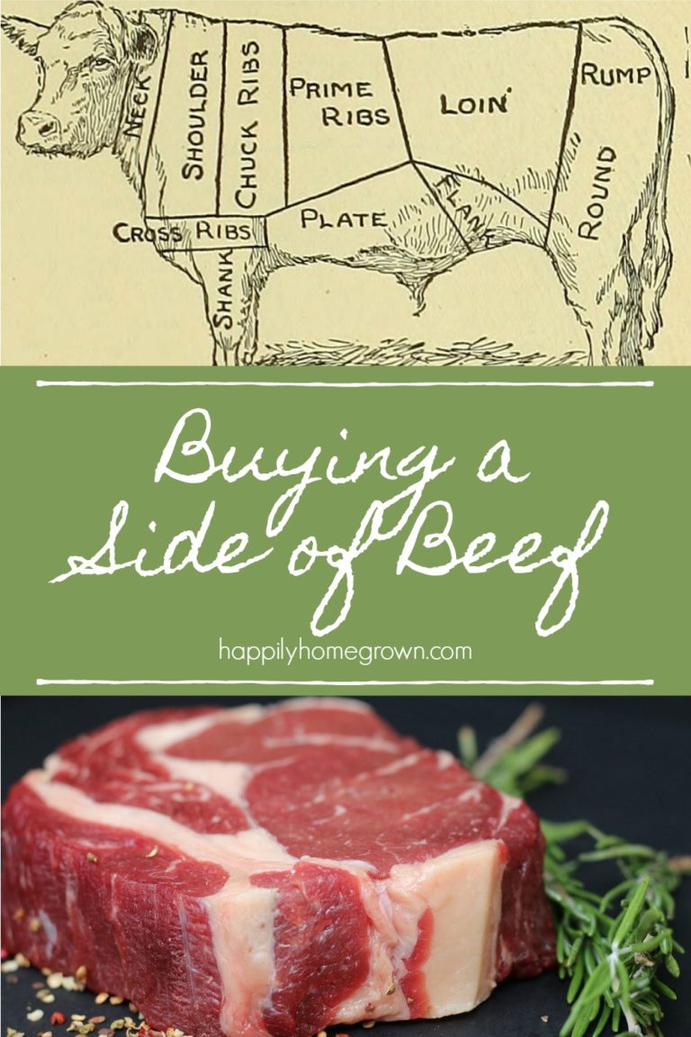Buying a Side of Beef - Happily Homegrown