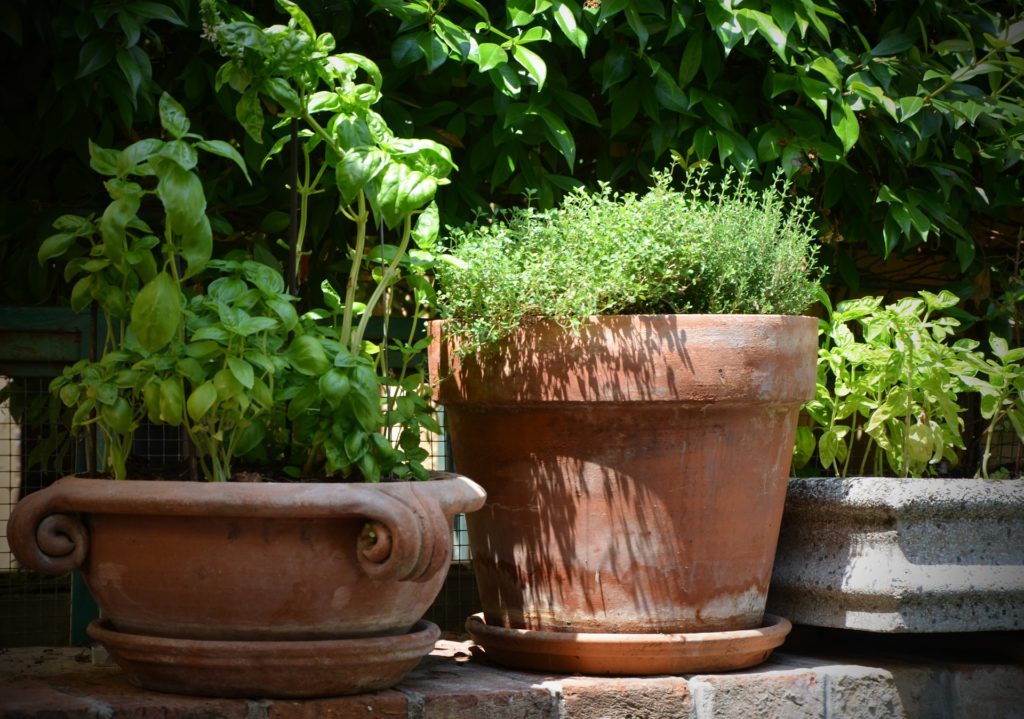 Container Gardening 
gardening in small spaces
