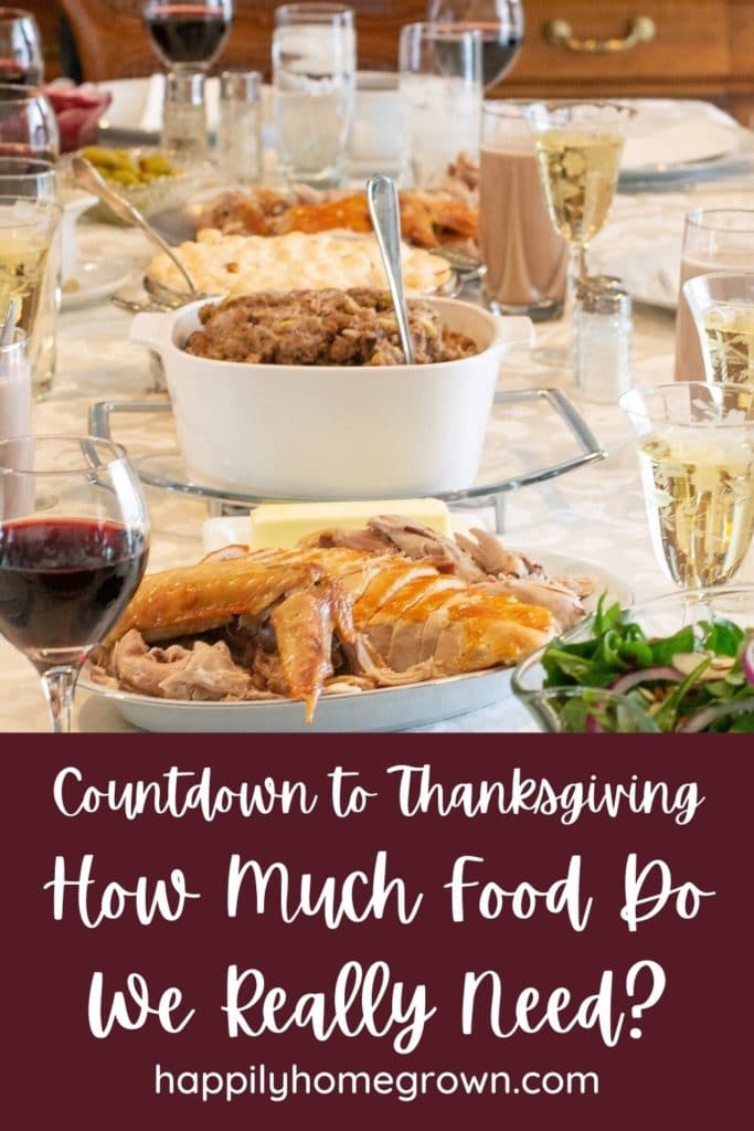 Countdown to Thanksgiving:  How much food do we really need?